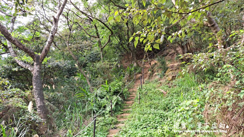 20220313_142746.jpg