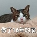 16年的家人.jpg