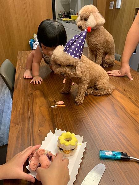 LINE_ALBUM_寵物生日_221007_6.jpg