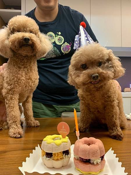 LINE_ALBUM_寵物生日_221007_3.jpg