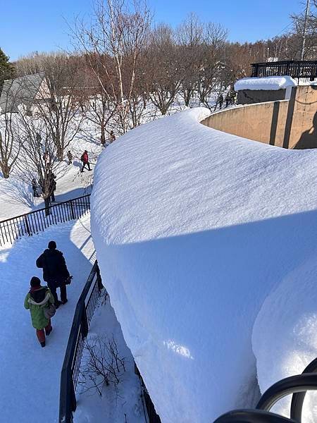 親子遊日本(´･ω･`)  冬天雪白世界的旭山動物園(￣▽￣