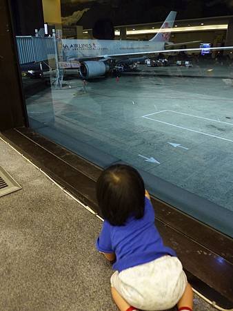 P1000817.jpg