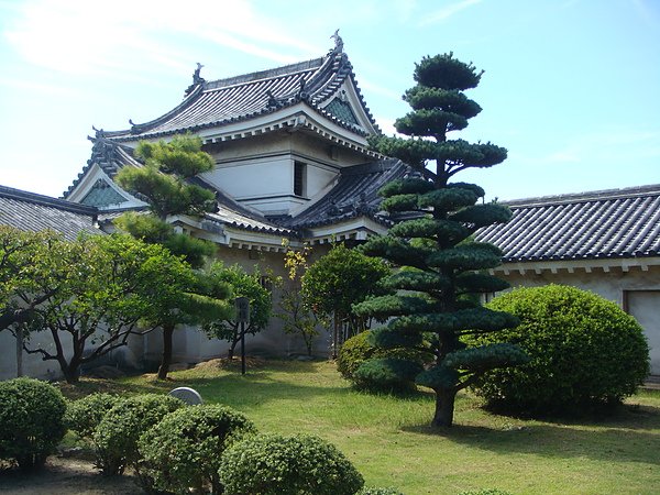 DSC04379.JPG
