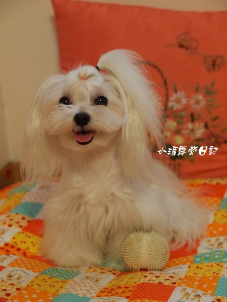 A5255584