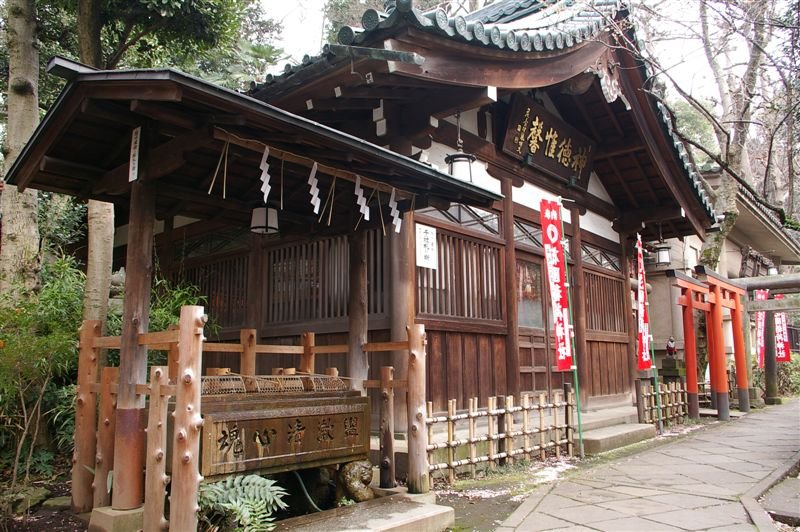 _IGP1145.JPG