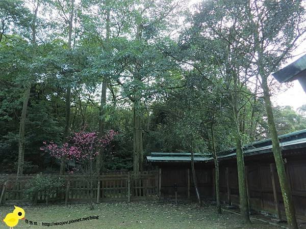 『旅遊』桃園縣虎頭山-忠烈祠-在台灣的日本神社