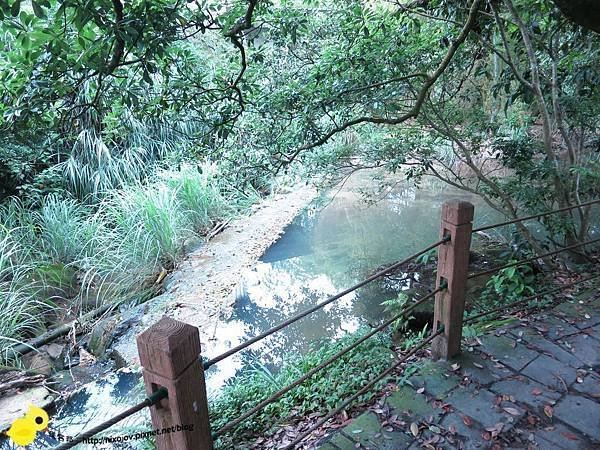 【台北 旅遊】陽明山-隱藏在步道中的花團錦簇