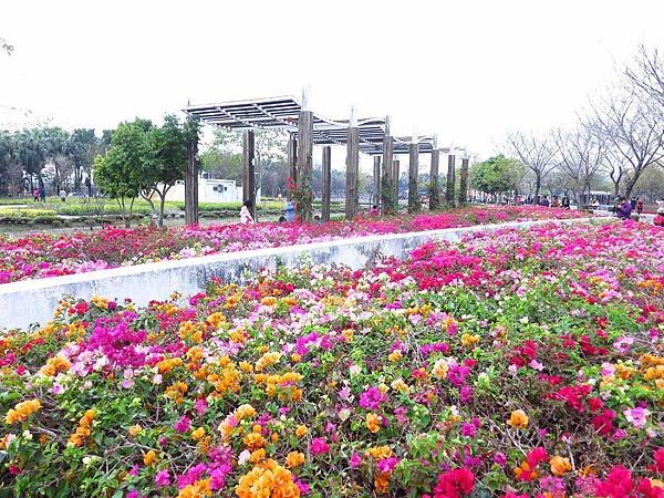 【彰化】溪州花博公園-美麗的費茲洛公園