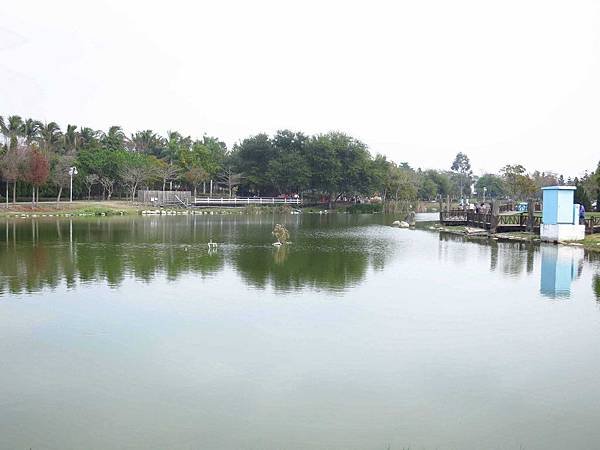 【彰化】溪州花博公園-美麗的費茲洛公園