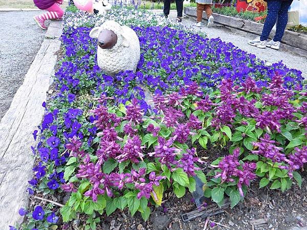 【彰化】溪州花博公園-美麗的費茲洛公園