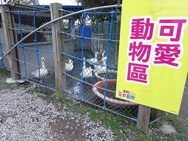 【彰化】溪州花博公園-美麗的費茲洛公園