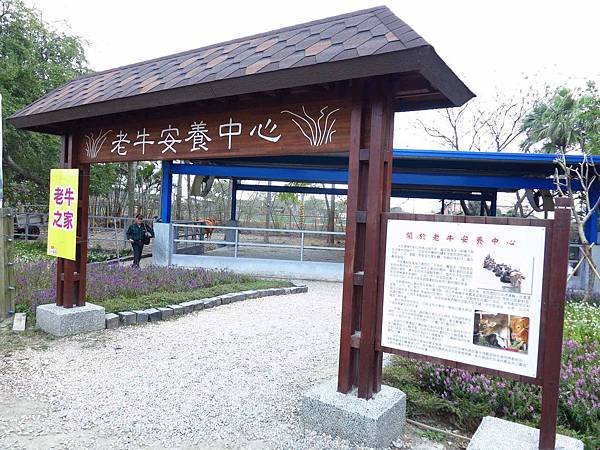 【彰化】溪州花博公園-美麗的費茲洛公園