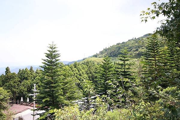 【台北旅遊】熊空茶園-深山裡的大自然景觀