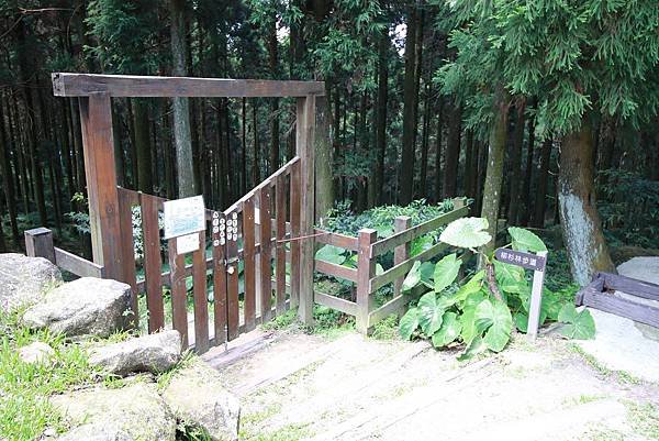 【台北旅遊】熊空茶園-深山裡的大自然景觀