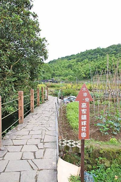 【台北旅遊】陽明山高家繡球花季-滿遍的花團錦簇