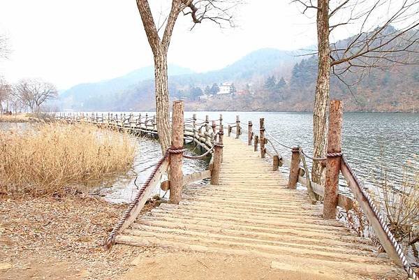 韓國南怡島，美麗半月形島嶼-附詳細地圖與交通方式資訊