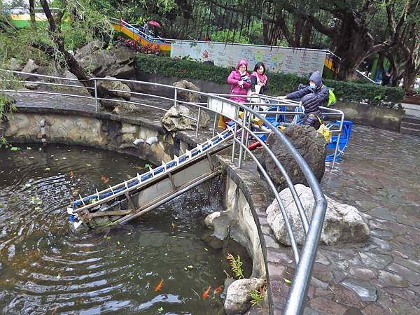 【新竹旅遊】小叮噹科學主題樂園-超大型室內滑雪場-壽星免費入園