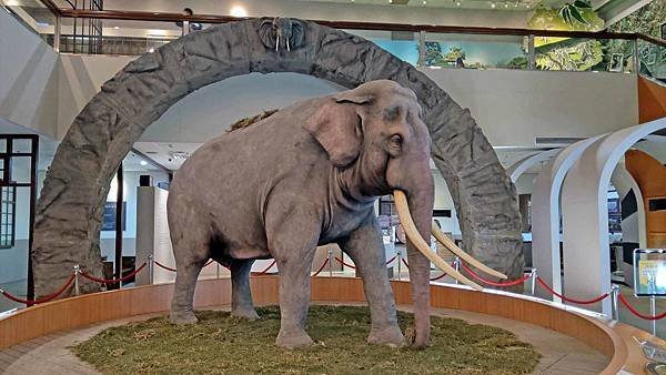 【台北景點】台北市立動物園-逛一整天也逛不完的必去景點！大朋友小朋友最適合的親子旅遊