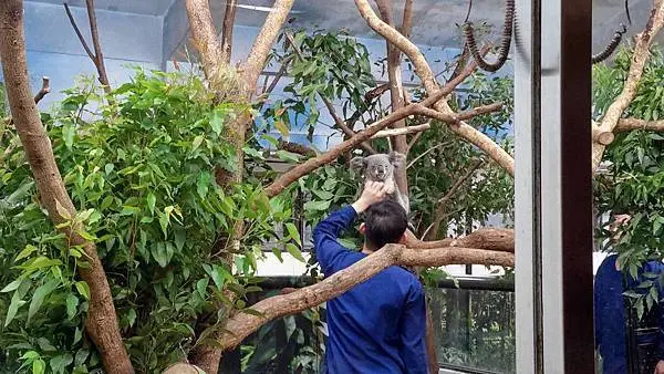 【台北景點】台北市立動物園-逛一整天也逛不完的必去景點！大朋友小朋友最適合的親子旅遊