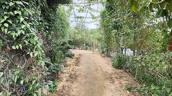 【桃園景點】一級棒農場-免門票免停車費，可以餵雞餵羊等多項設施免費讓你玩的親子農場