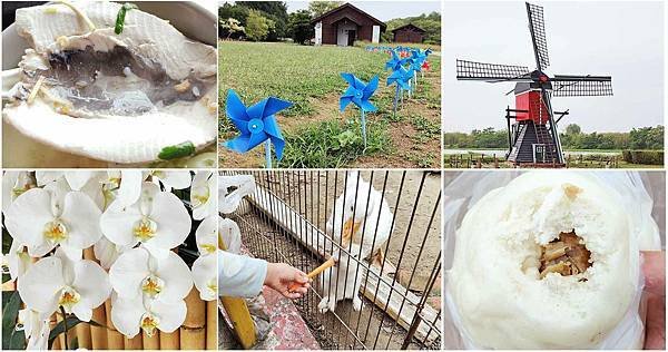 台南親子一日遊-永通虱目魚粥、德元埤荷蘭村、六甲媽祖廟剉冰、蘭都觀光工廠、玉梅鮮乳包子饅頭、柳營八老爺牧場