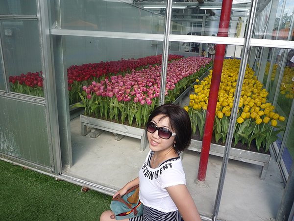 P1130529.JPG