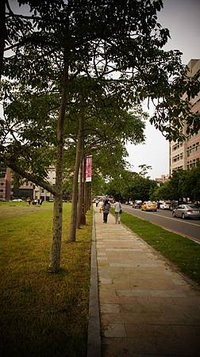 DSC01749