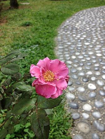 IMG_1140