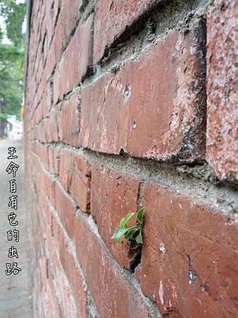 IMG_20130226_130027