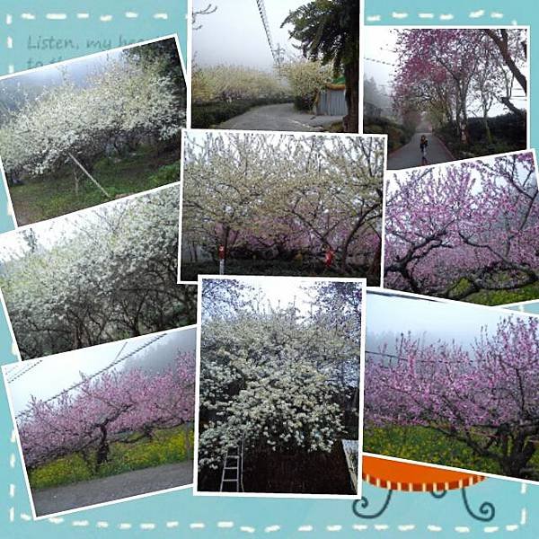 img1423276863192