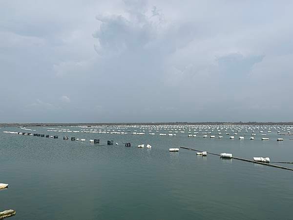 IMG_8222~photo.JPG