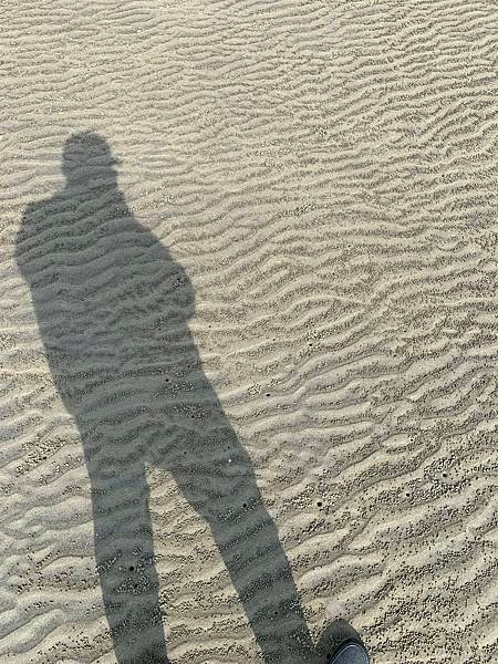 IMG_8228~photo.JPG
