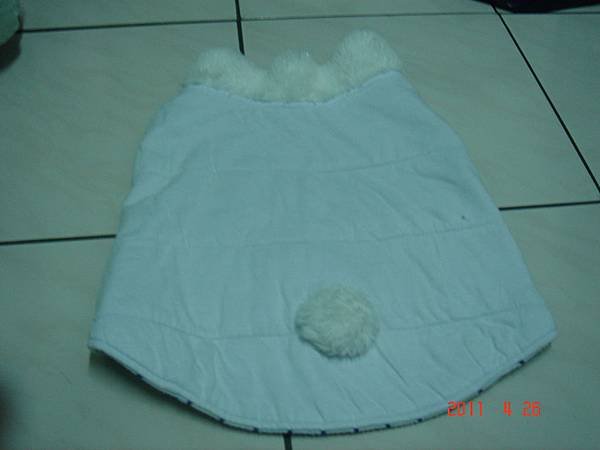 DSC05740.JPG