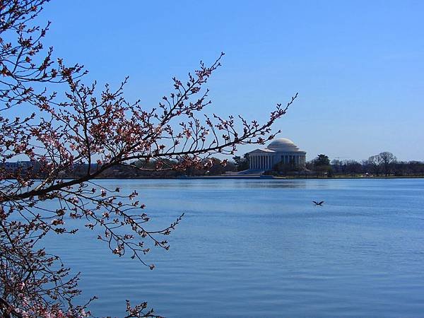 2012 March in DC