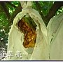 松鼠的傑作 011.jpg