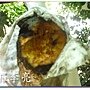松鼠的傑作 018.jpg