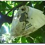 松鼠的傑作 016.jpg