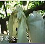 松鼠的傑作 019.jpg