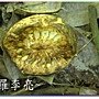 松鼠的傑作 023.jpg