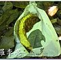 松鼠的傑作 029.jpg