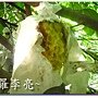 松鼠的傑作 030.jpg