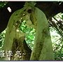 松鼠的傑作 032.jpg