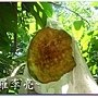松鼠的傑作 035.jpg