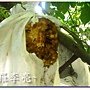 松鼠的傑作 003.jpg