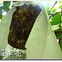 松鼠的傑作 006.jpg