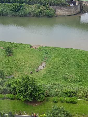 20210817_105817.jpg