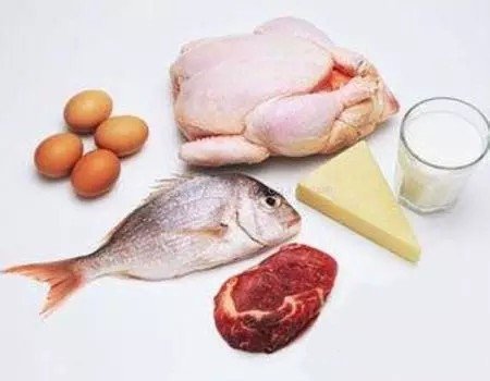 動物性蛋白.jpg
