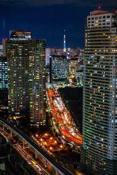 增上寺與世貿夜景 (25).jpg