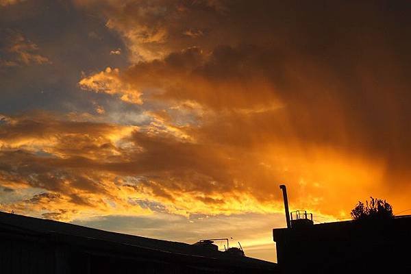 P8227893.JPG