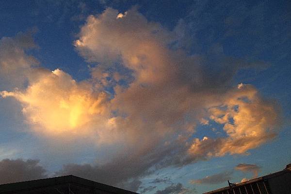 P8227894.JPG